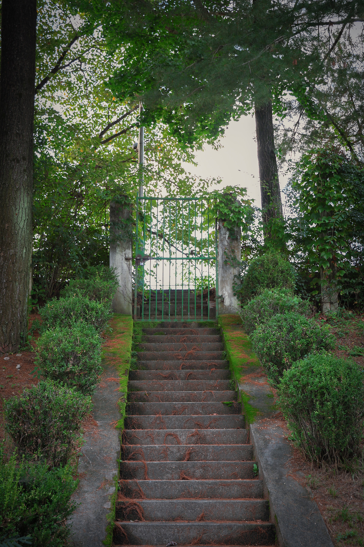 어린시점2_저 너머_민희.jpg