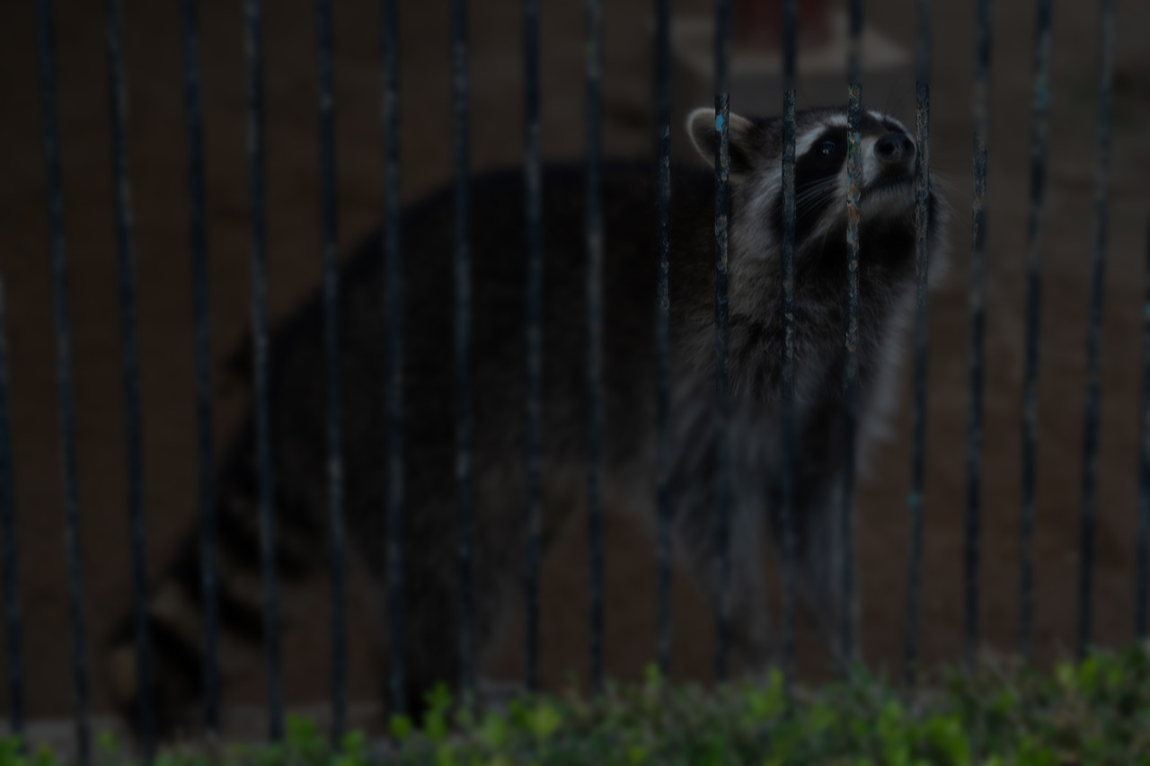 어른 시점 1_우울함_민기.jpg