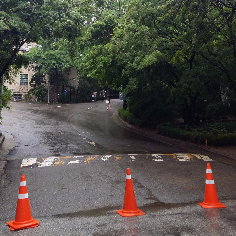 핸드폰사진 8321.jpg