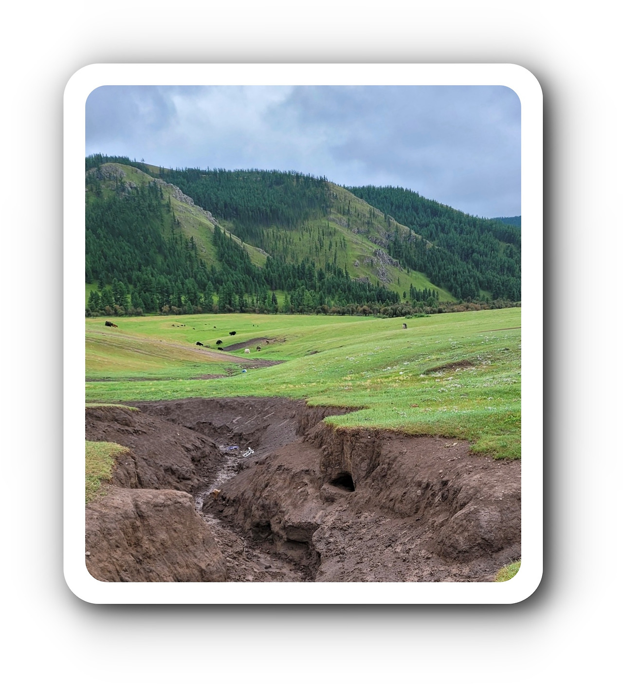 갈라진 길 사진1.jpg