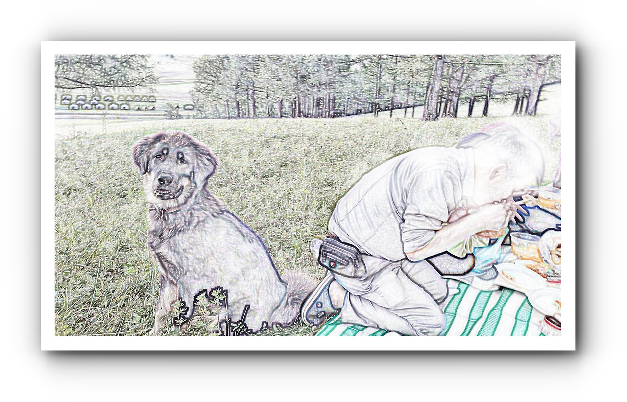 개와 식사하는 사람1.jpg