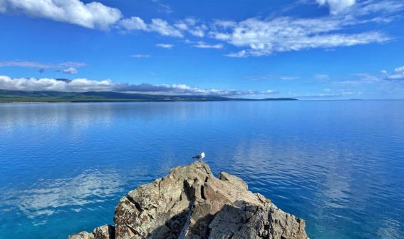 소망의 섬 새1.jpg