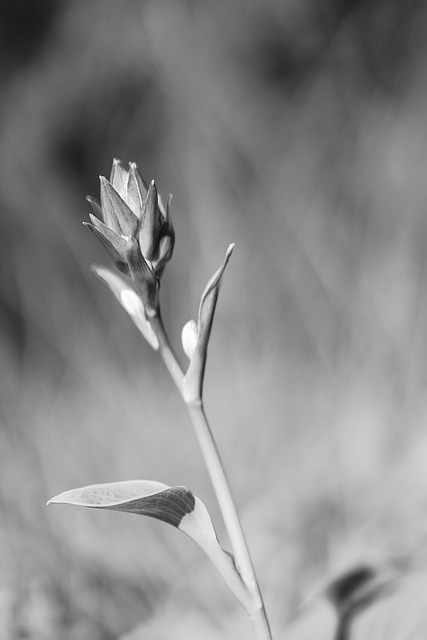 낭만에 대하여.jpg