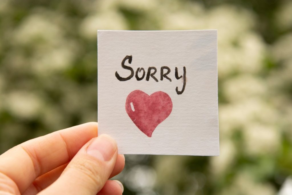 im-sorry-lettering-sorry-inscription_t20_kRLK3P-1024x683.jpg