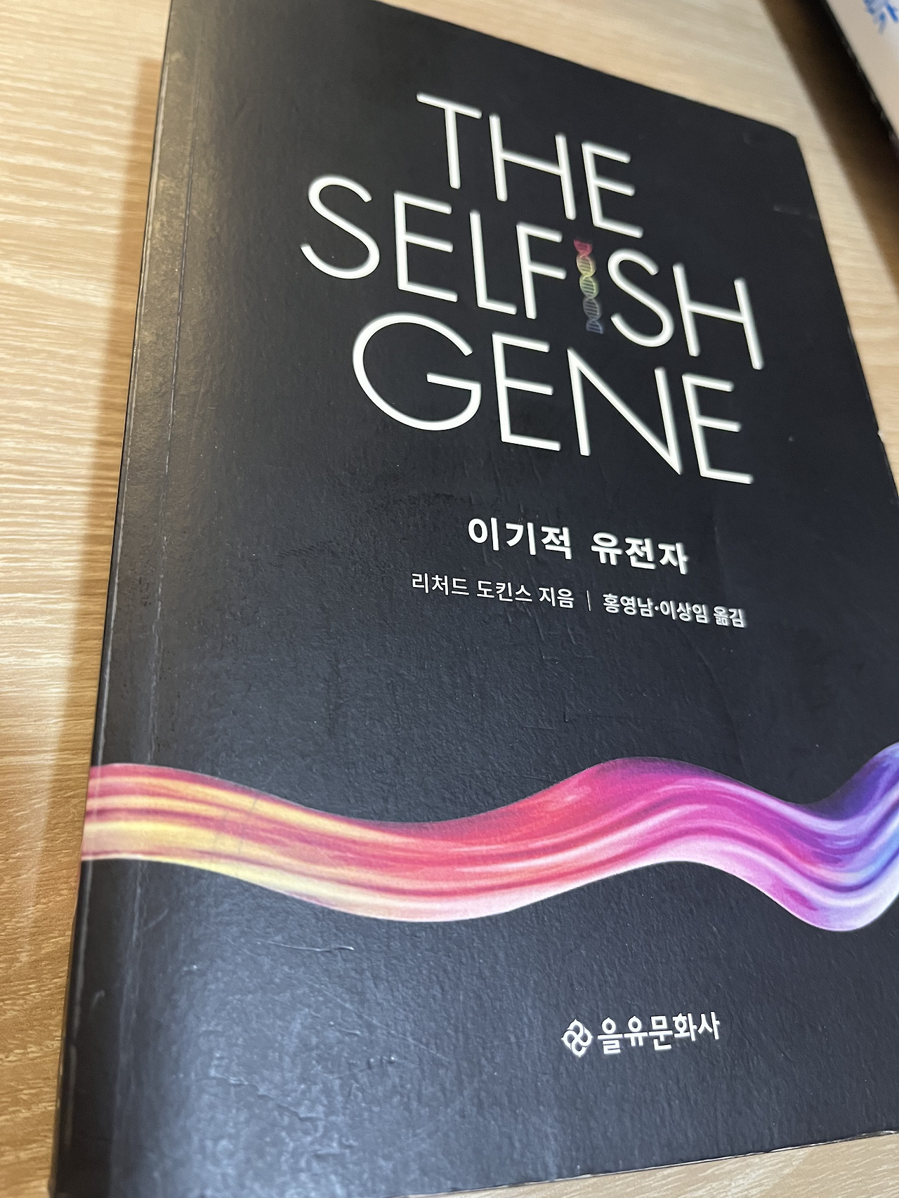 무료 카지노 게임