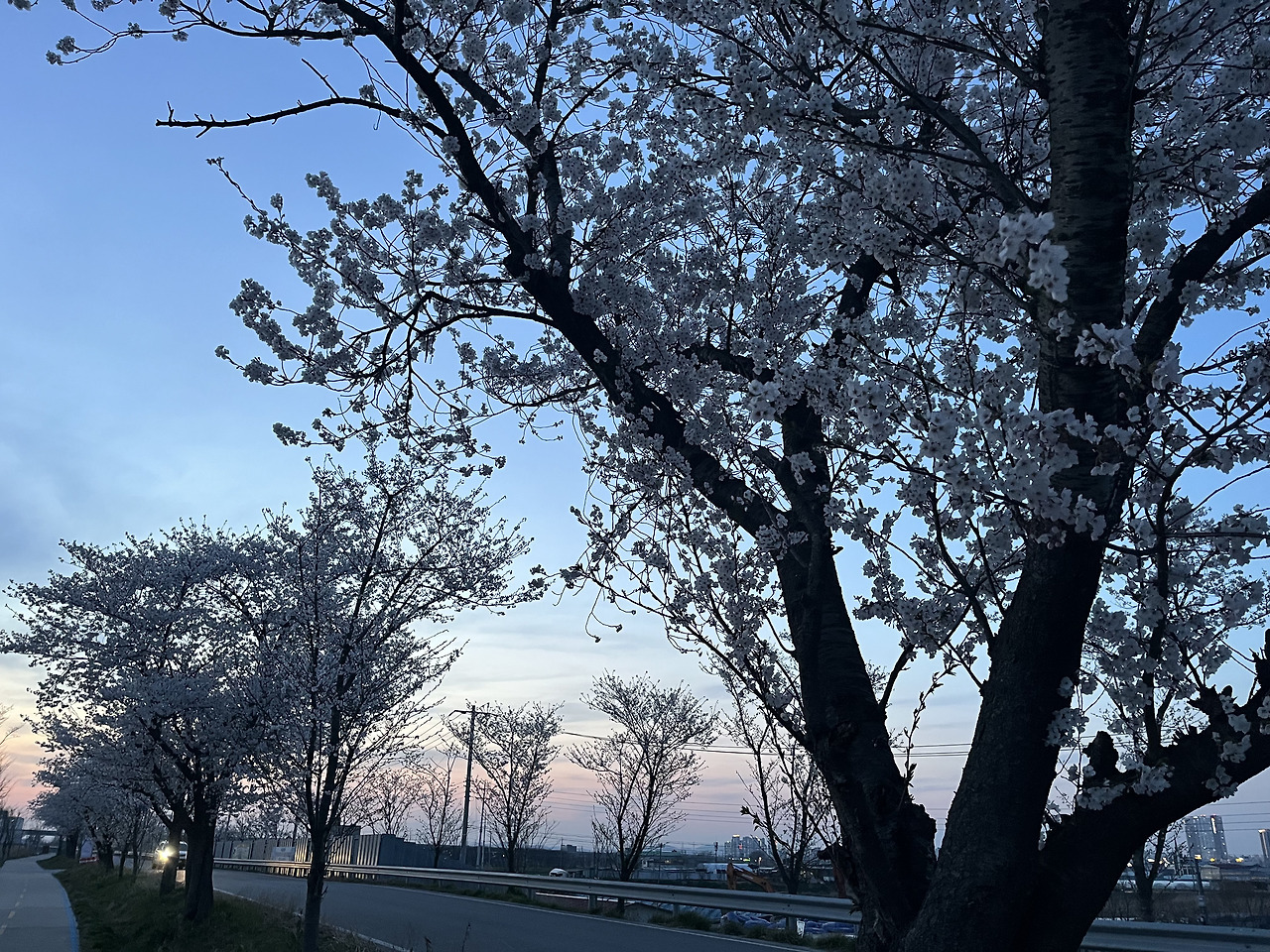 무료 카지노 게임