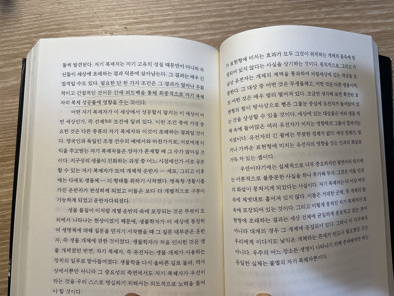 무료 카지노 게임