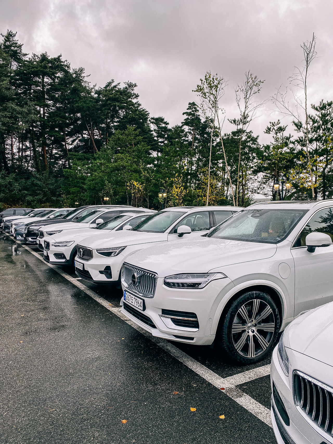 [김종훈]속초, 인센스, 신형 S60을 관통하는 것들 (9).jpg