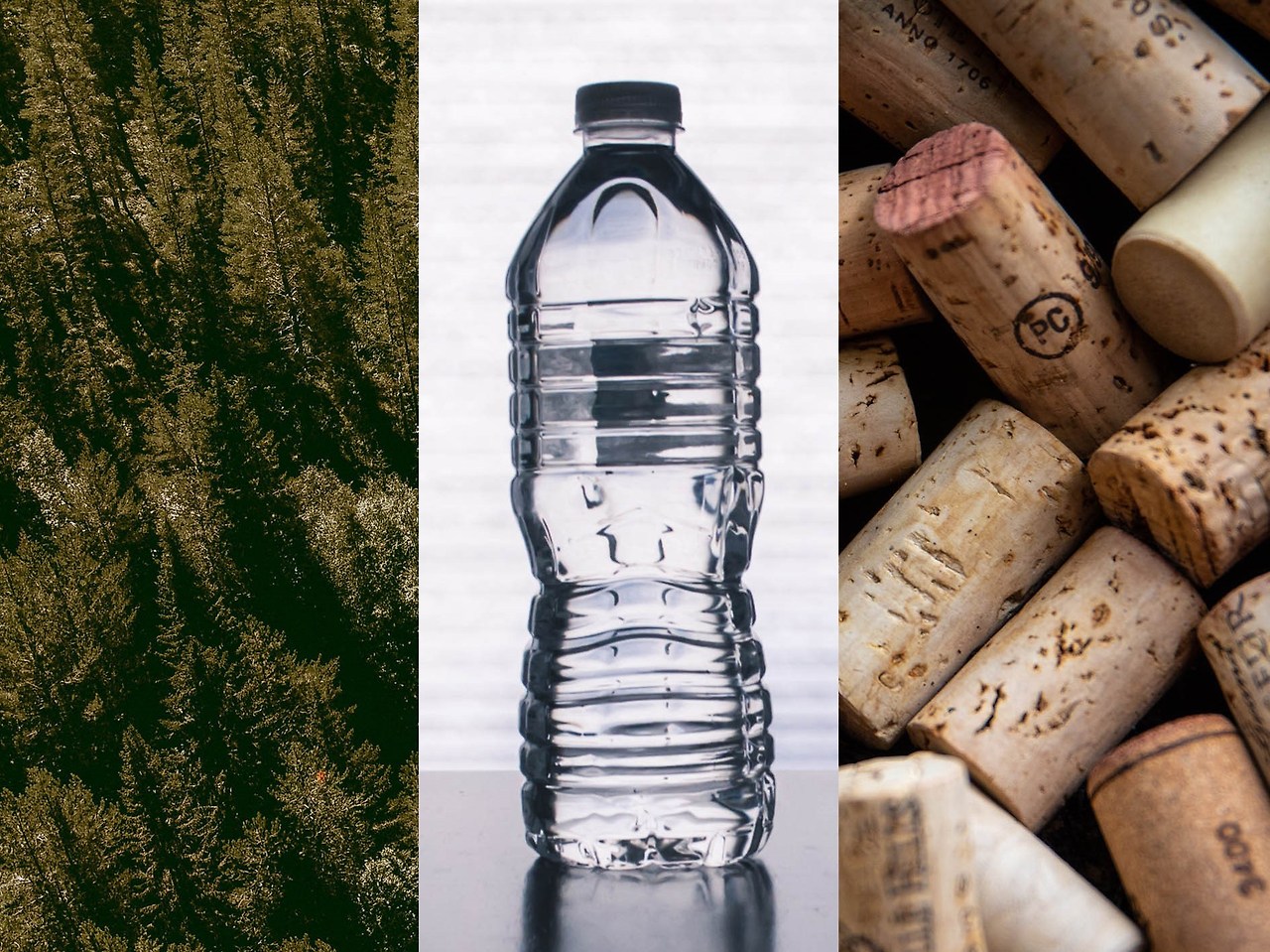 이미지 자료_볼보자동차 지속 가능한 럭셔리 소재의 미래에 대한 보고서 발표 (1).jpg