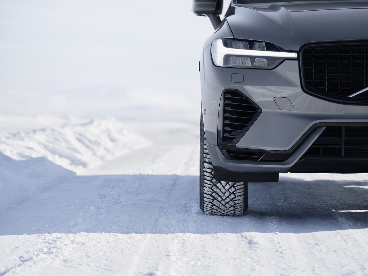 Light version-TIM00838.jpg