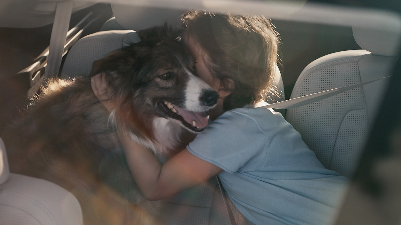 Light version-Image1_Dog_v1.jpg