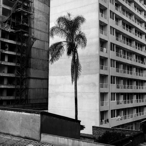 Imaabs-Homo Sacer VOL 2 2014.jpg