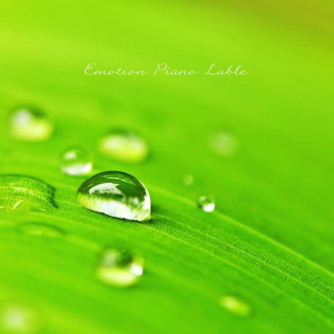 이슬향 - 한 편의 시가 되어.jpg