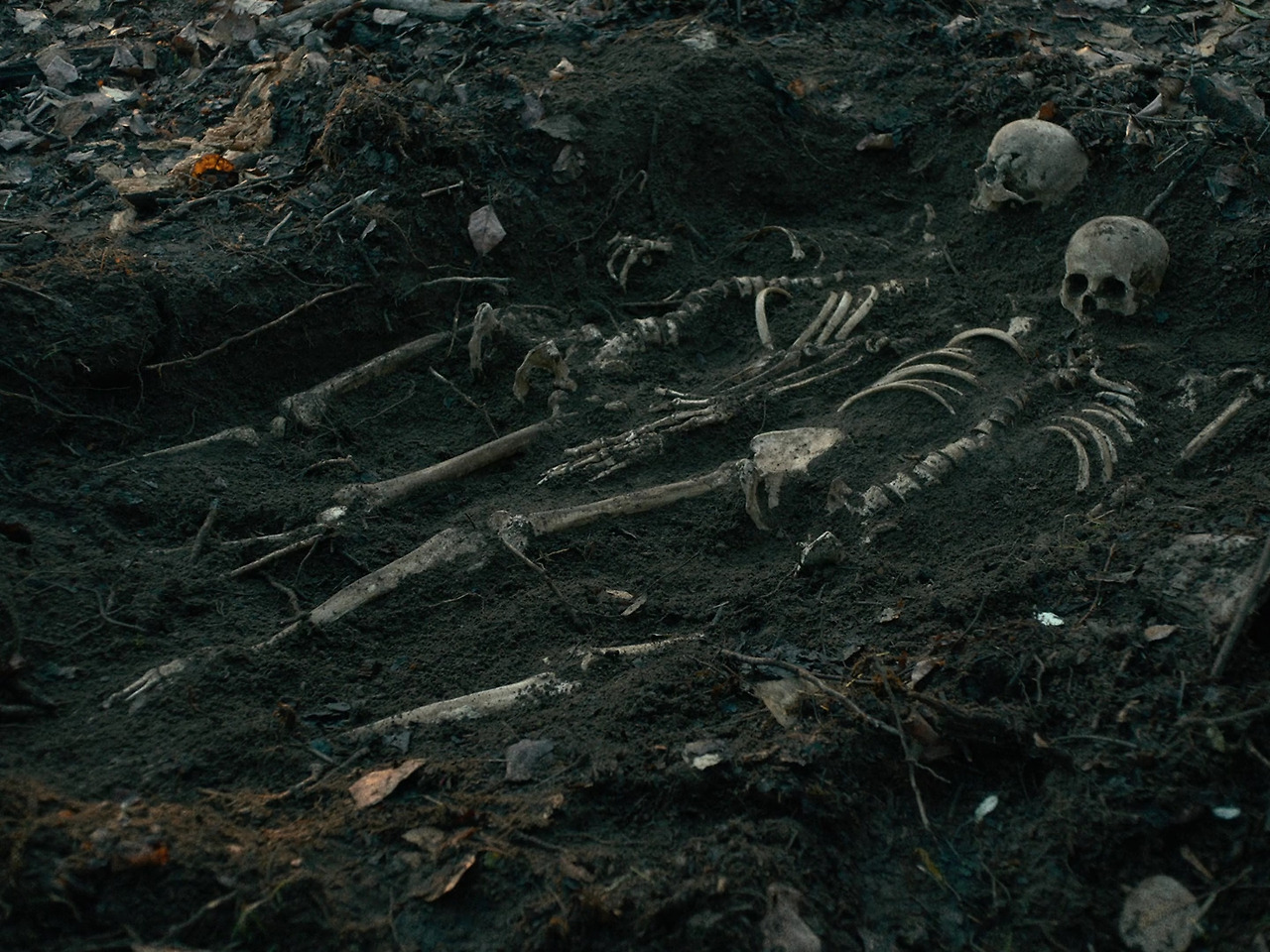 18. [리뷰] 퍼스트 카우 그림 1.jpg