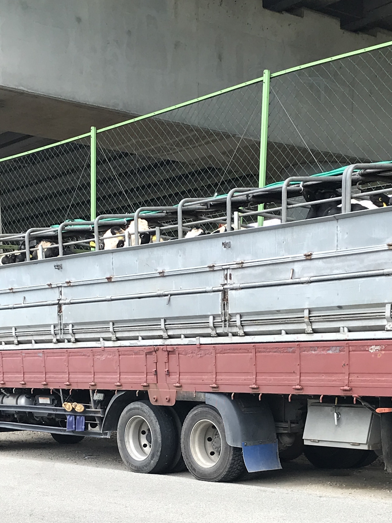 17. [소특집] 비질 그림 4.jpg