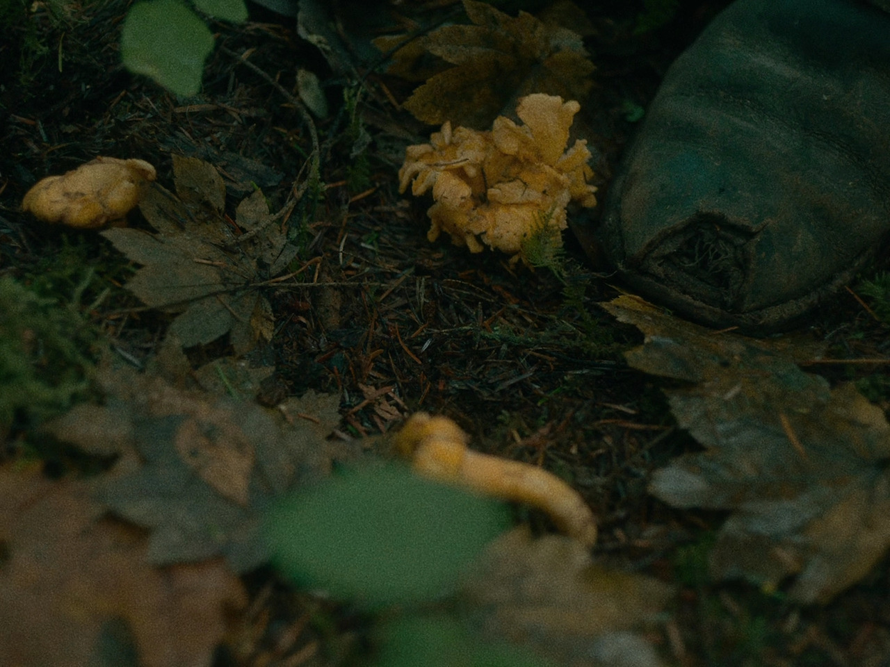 18. [리뷰] 퍼스트 카우 그림 2.jpg