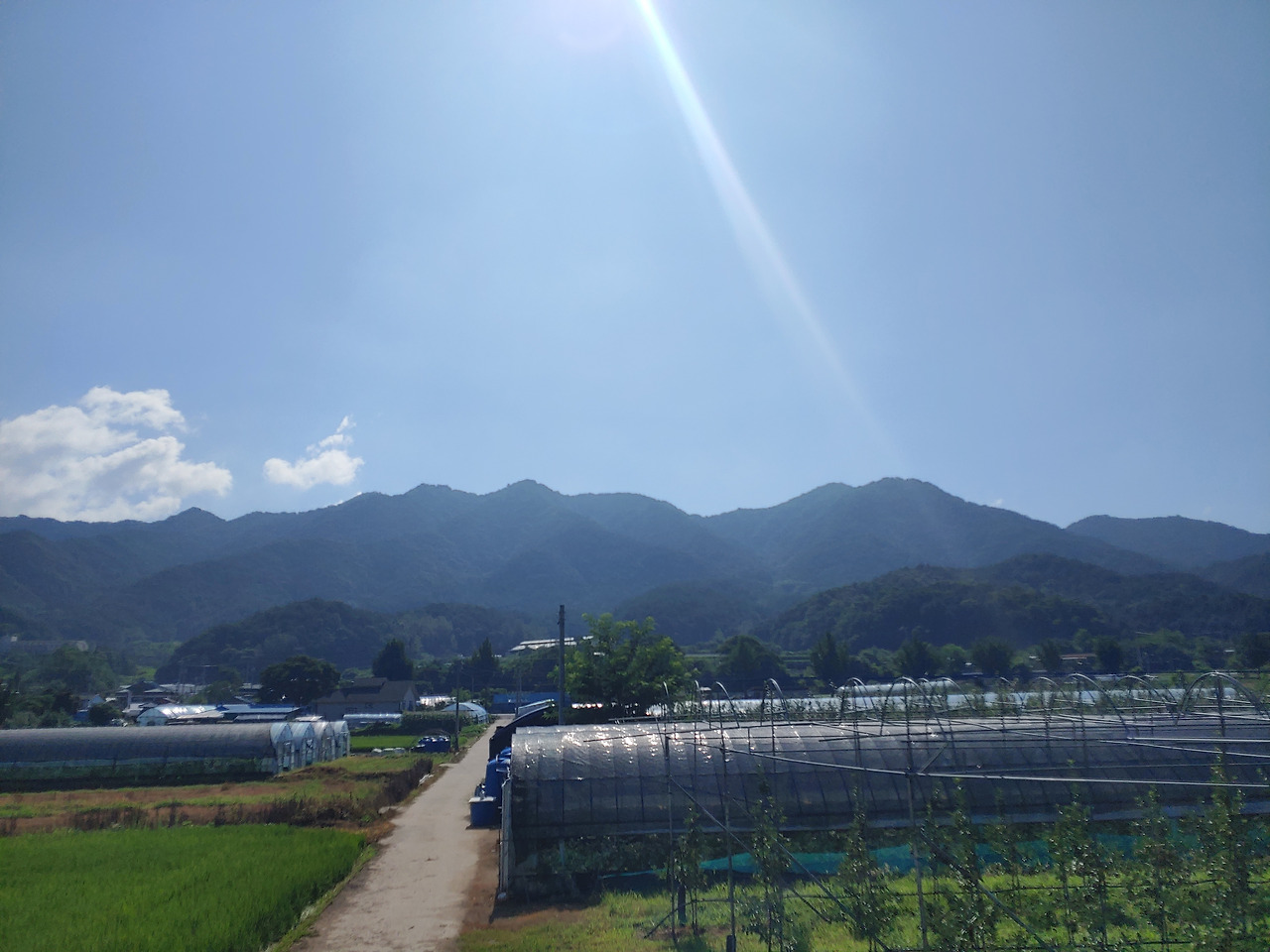 다운로드 (14).jpg