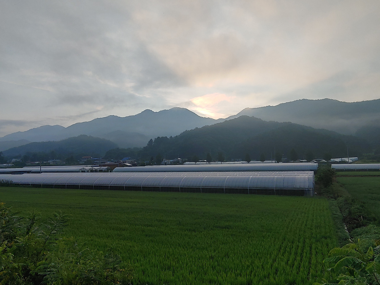 다운로드 (98).jpg