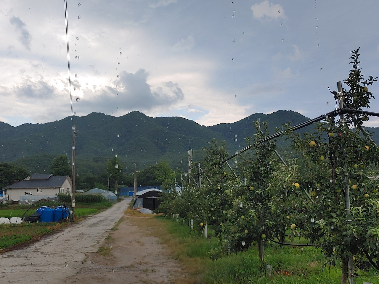 다운로드 (16).jpg