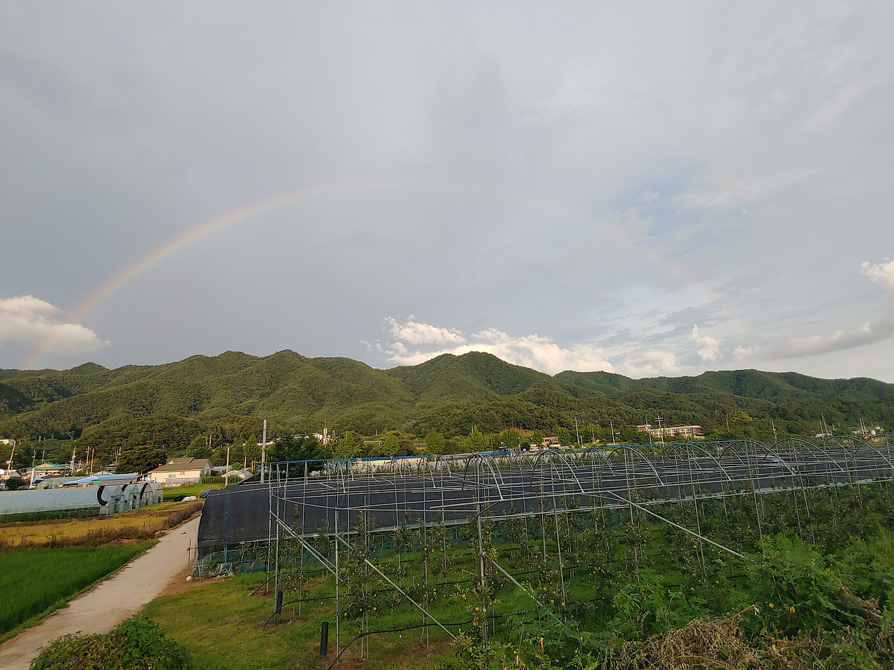 다운로드 (30).jpg