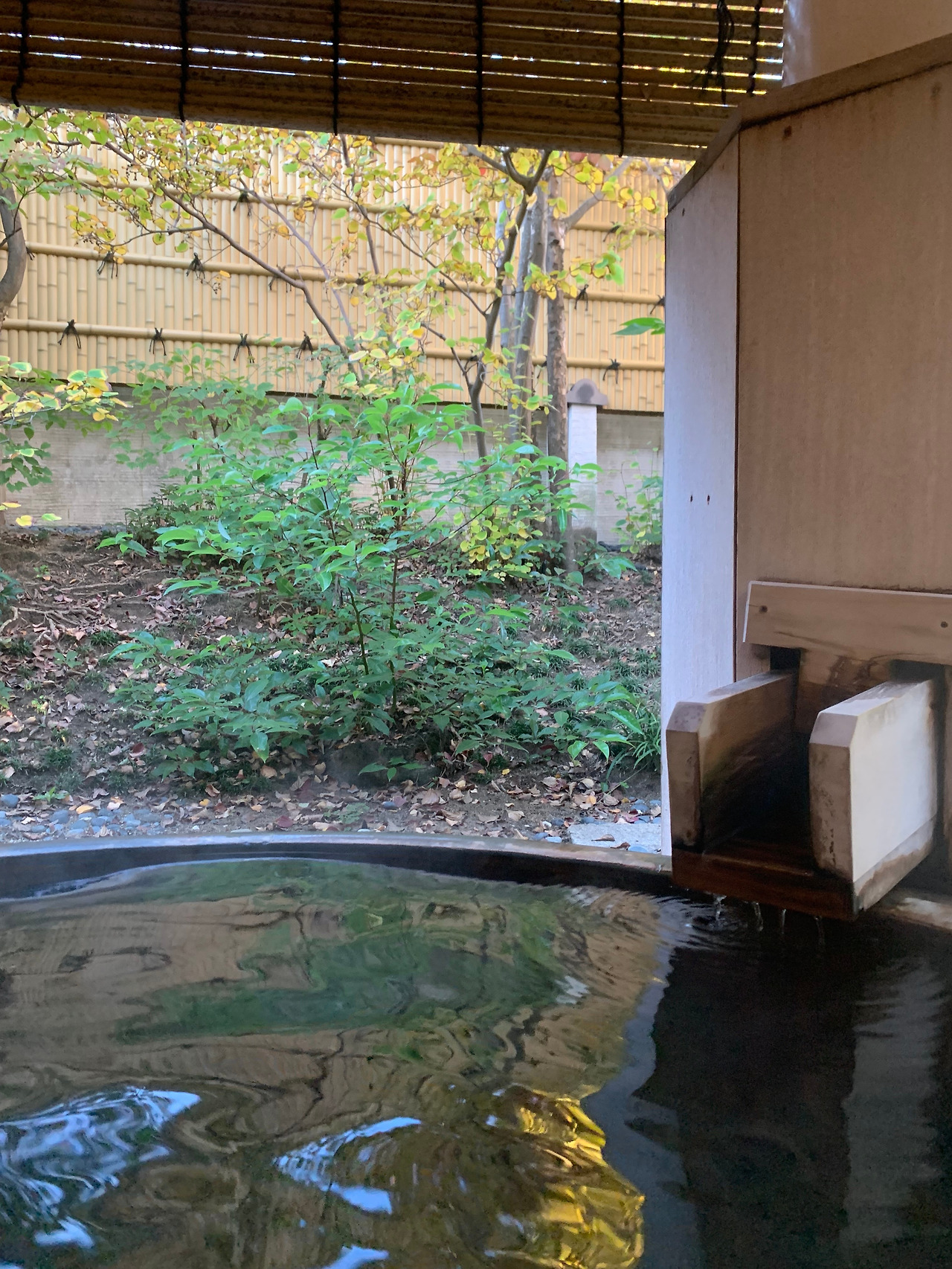 KakaoTalk_20231127_164959836_23 (1).jpg