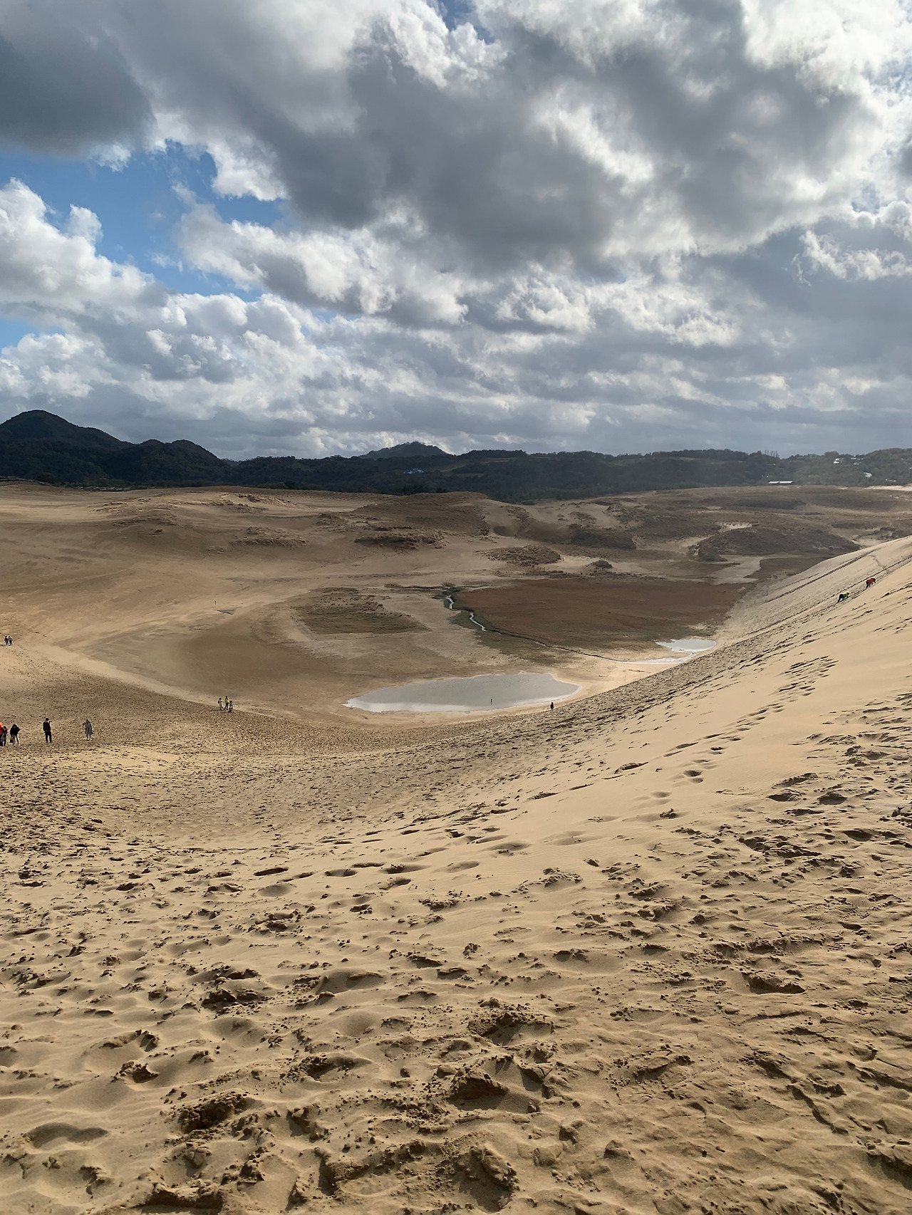 KakaoTalk_20231127_174530718 (1).jpg