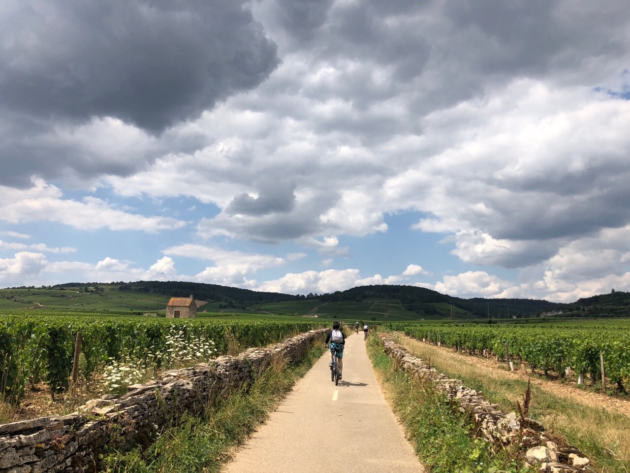 20220205 본에서의 자전거 하이킹.jpg