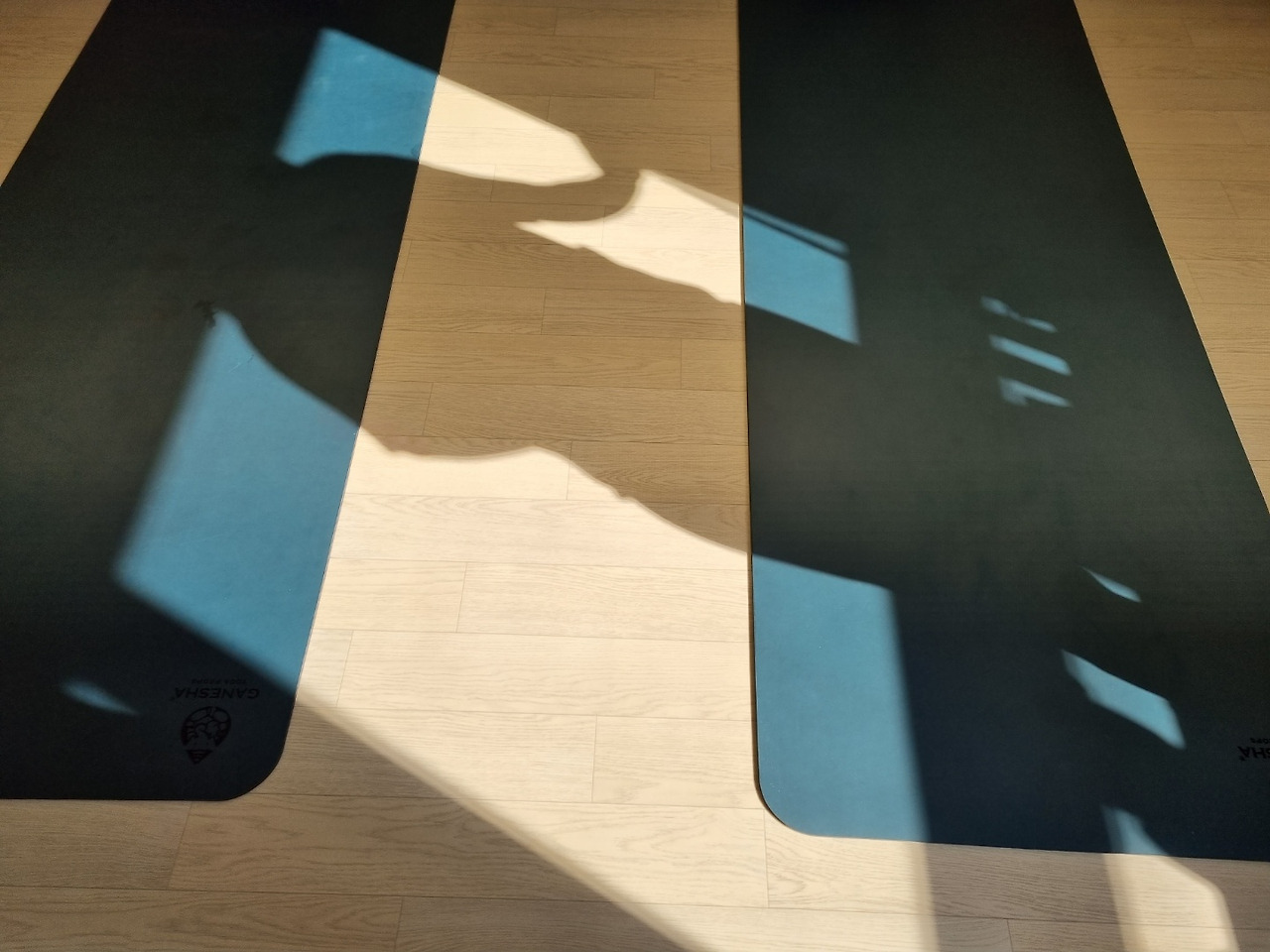 20220227 중력에 저항하기 사진2.jpg