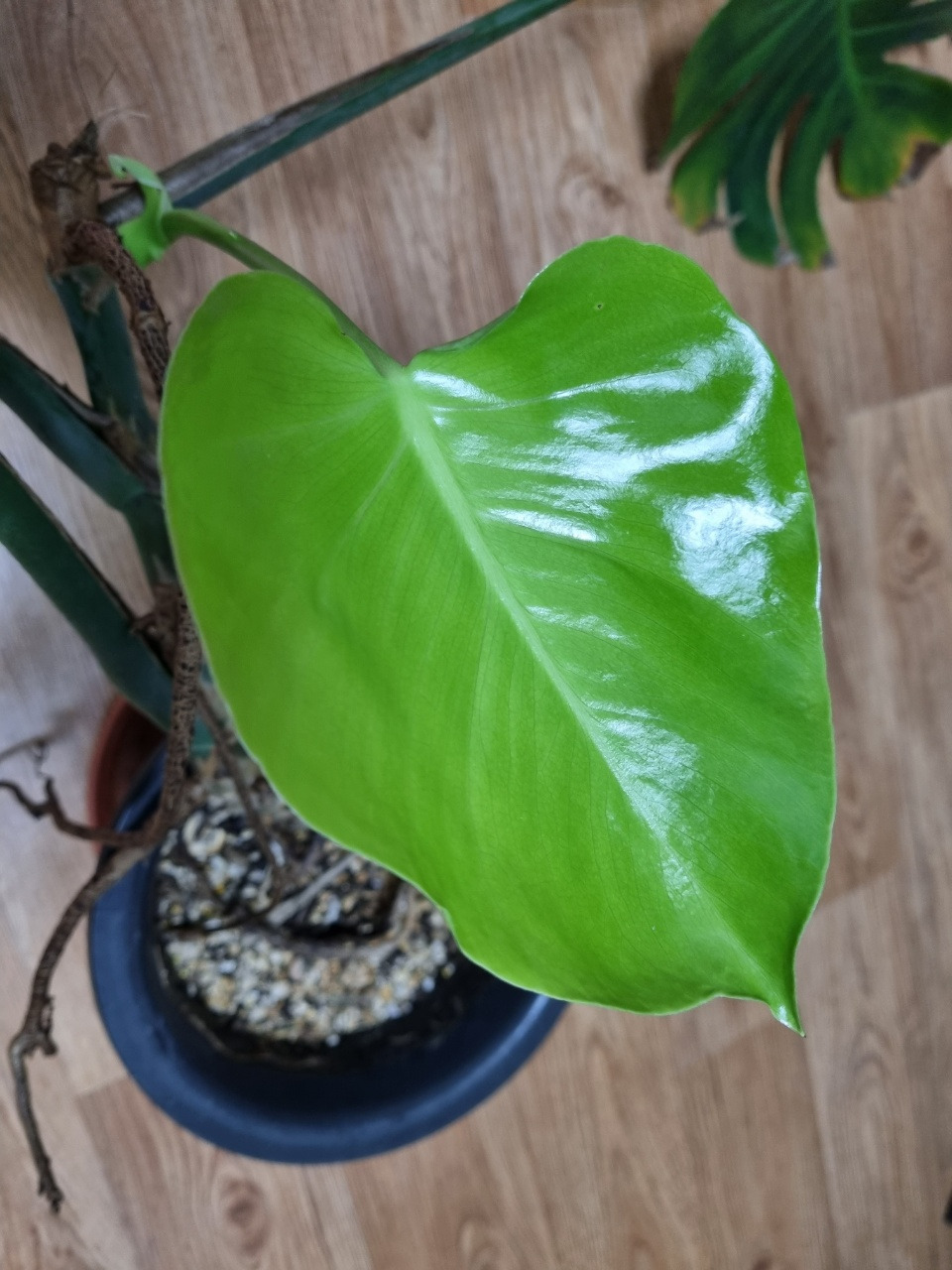 20220327 죽음과 새싹.jpg