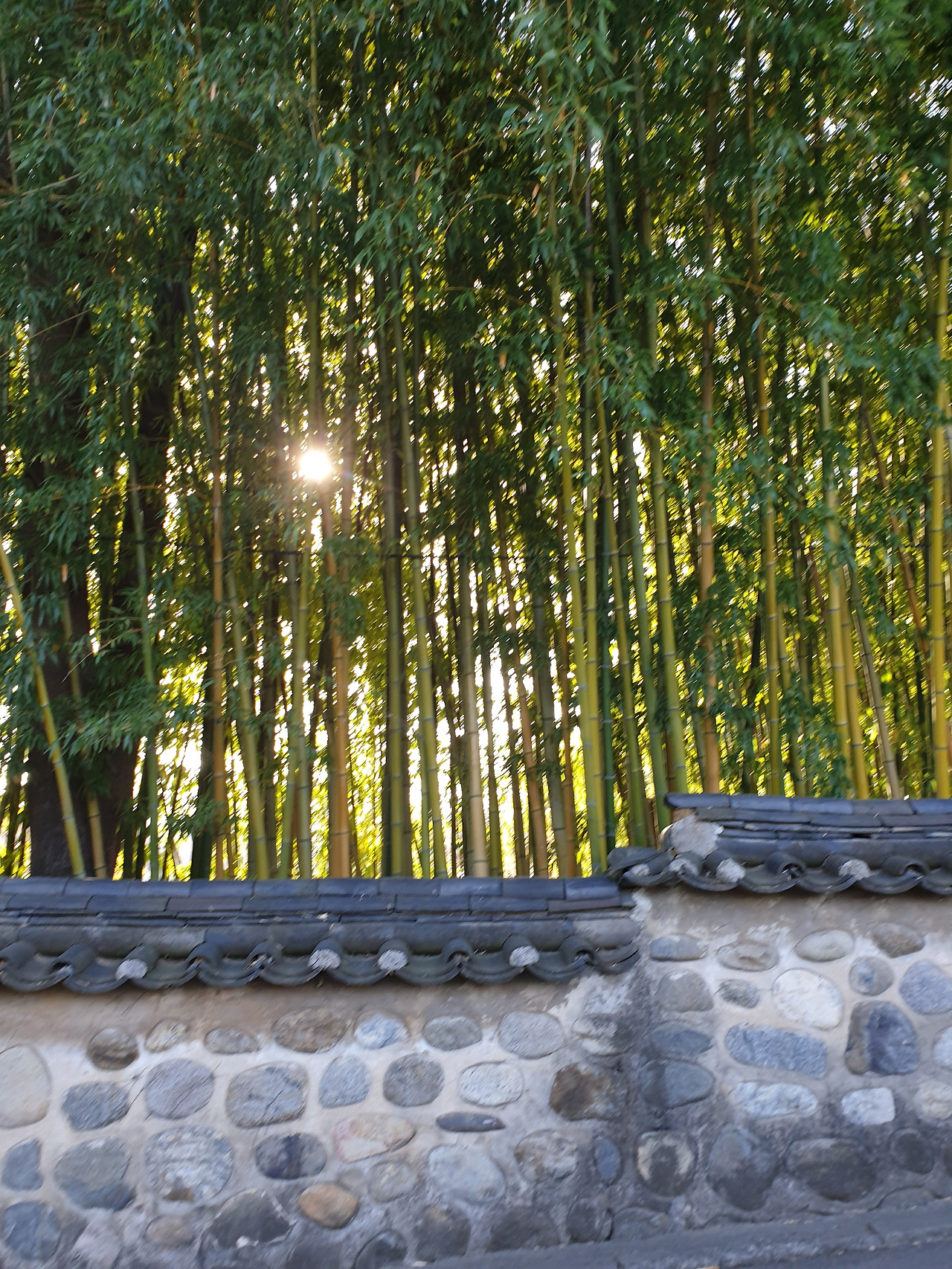 KakaoTalk_20211119_114028796 (1).jpg