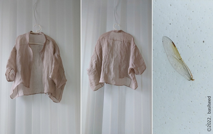 잠자리 날개_700_c.jpg