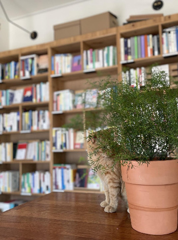 럭키한 무명 씨.jpg