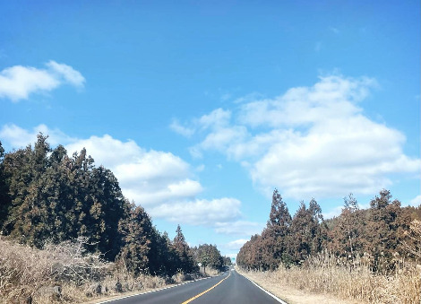 길을 건너도 좋습니다.jpg