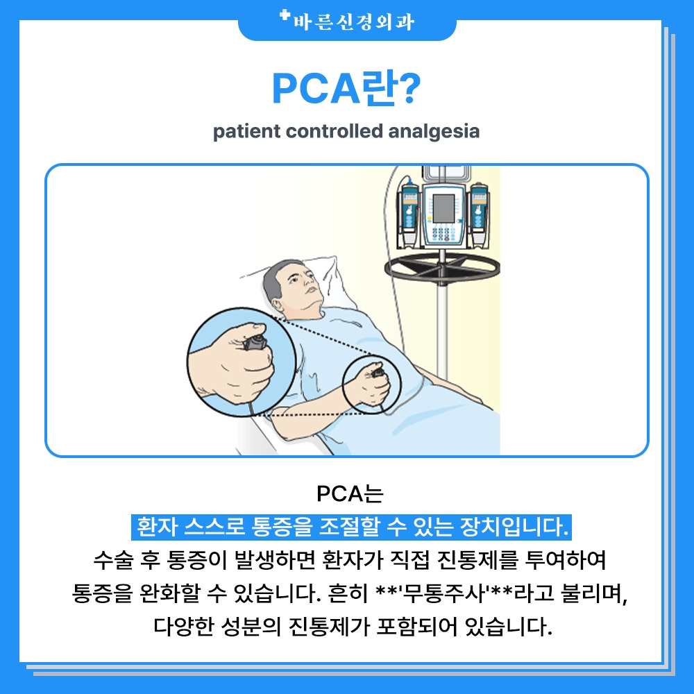 pca란 (2).jpg