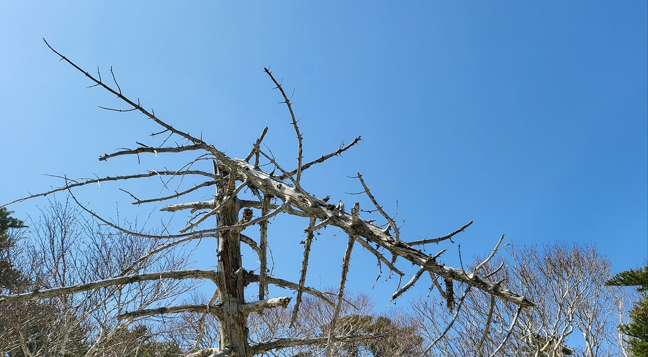 KakaoTalk_20230312_171205789_21 (1).jpg