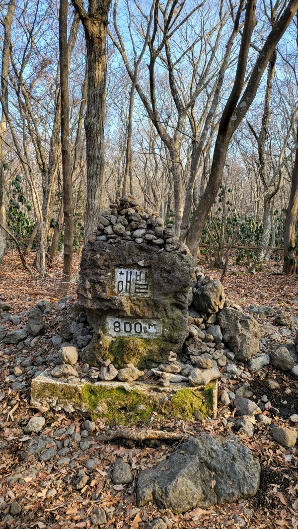 KakaoTalk_20230312_171205789_27 (1).jpg