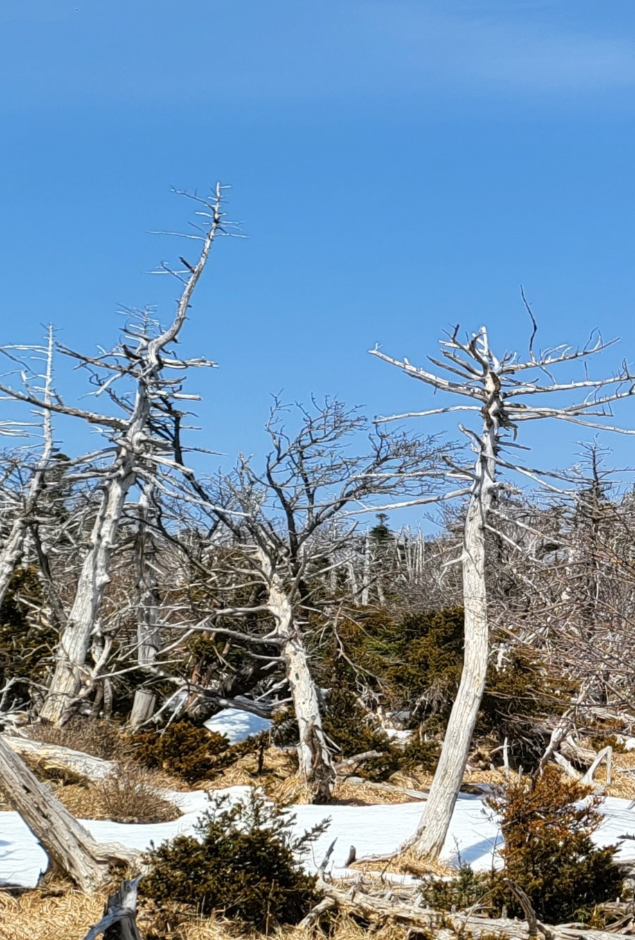 KakaoTalk_20230312_171205789 (1).jpg