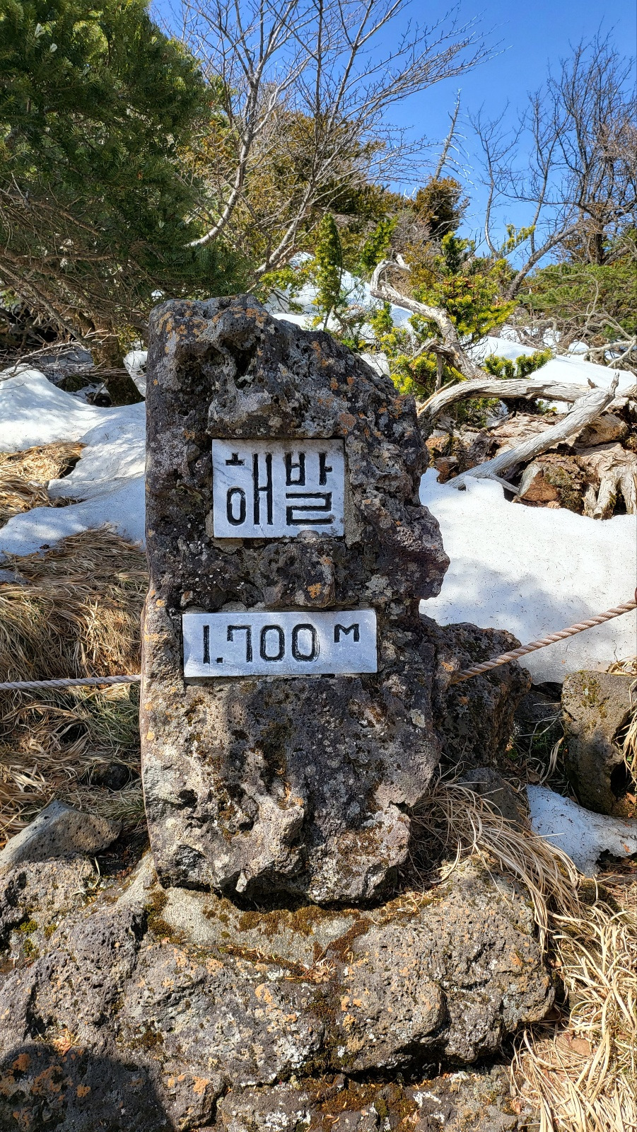 KakaoTalk_20230312_171205789_20 (1).jpg