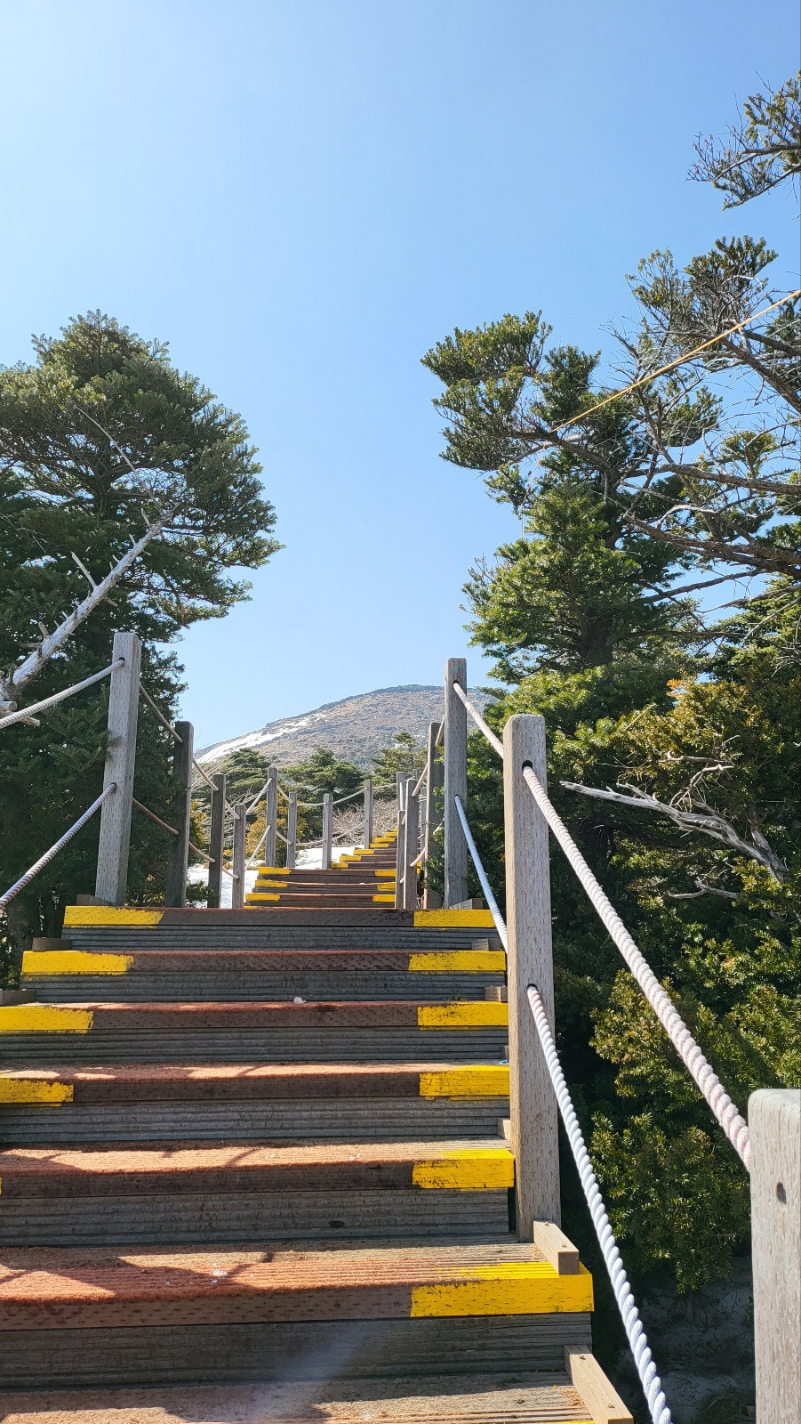 KakaoTalk_20230312_171205789_17 (1).jpg