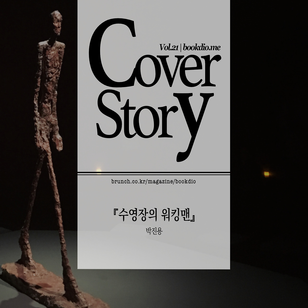 vol.21 cs cover.jpg