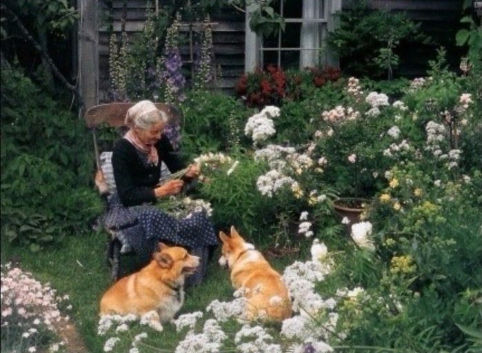 다운로드 (1).jpg