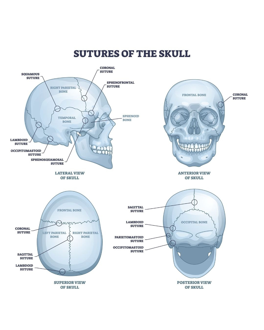 두상교정 얼굴비대칭 머리 크기 줄이는 법 .jpg
