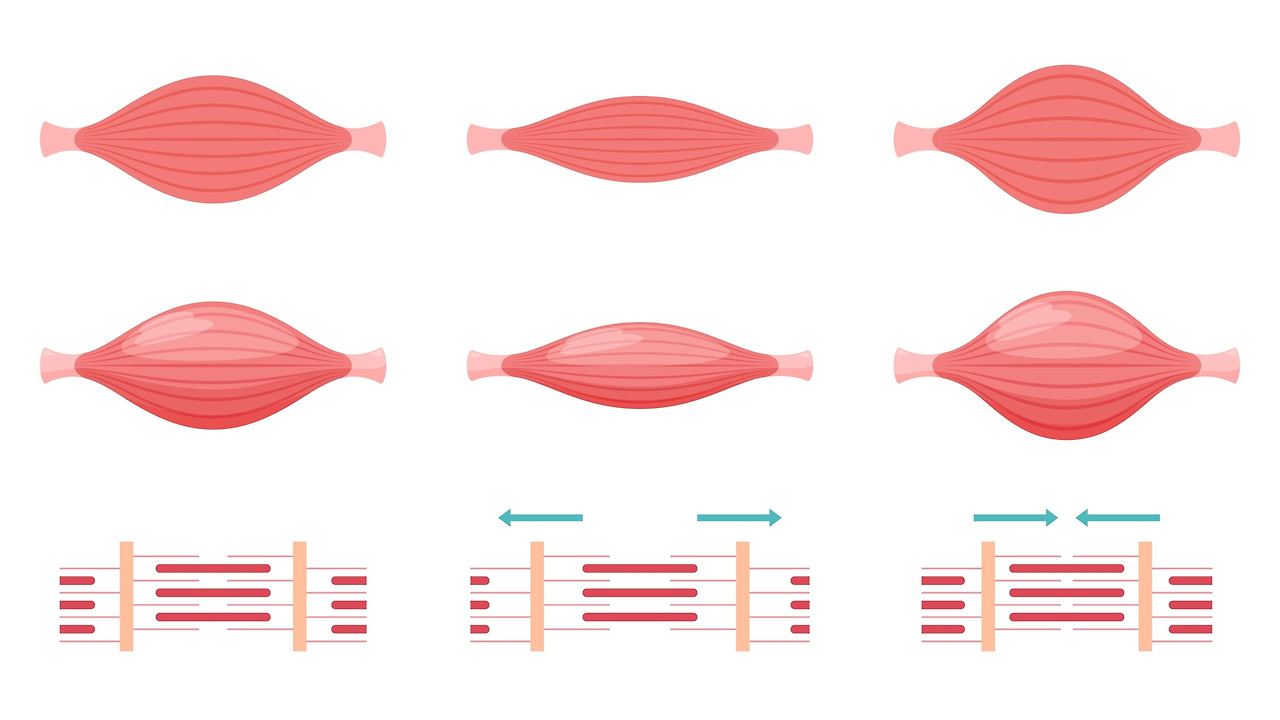 경락 마사지 효과 (2).jpg