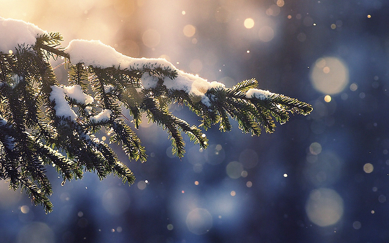 papers.co-mk28-snowing-tree-blue-christmas-winter-nature-mountain-36-3840x2400-4k-wallpaper.jpg