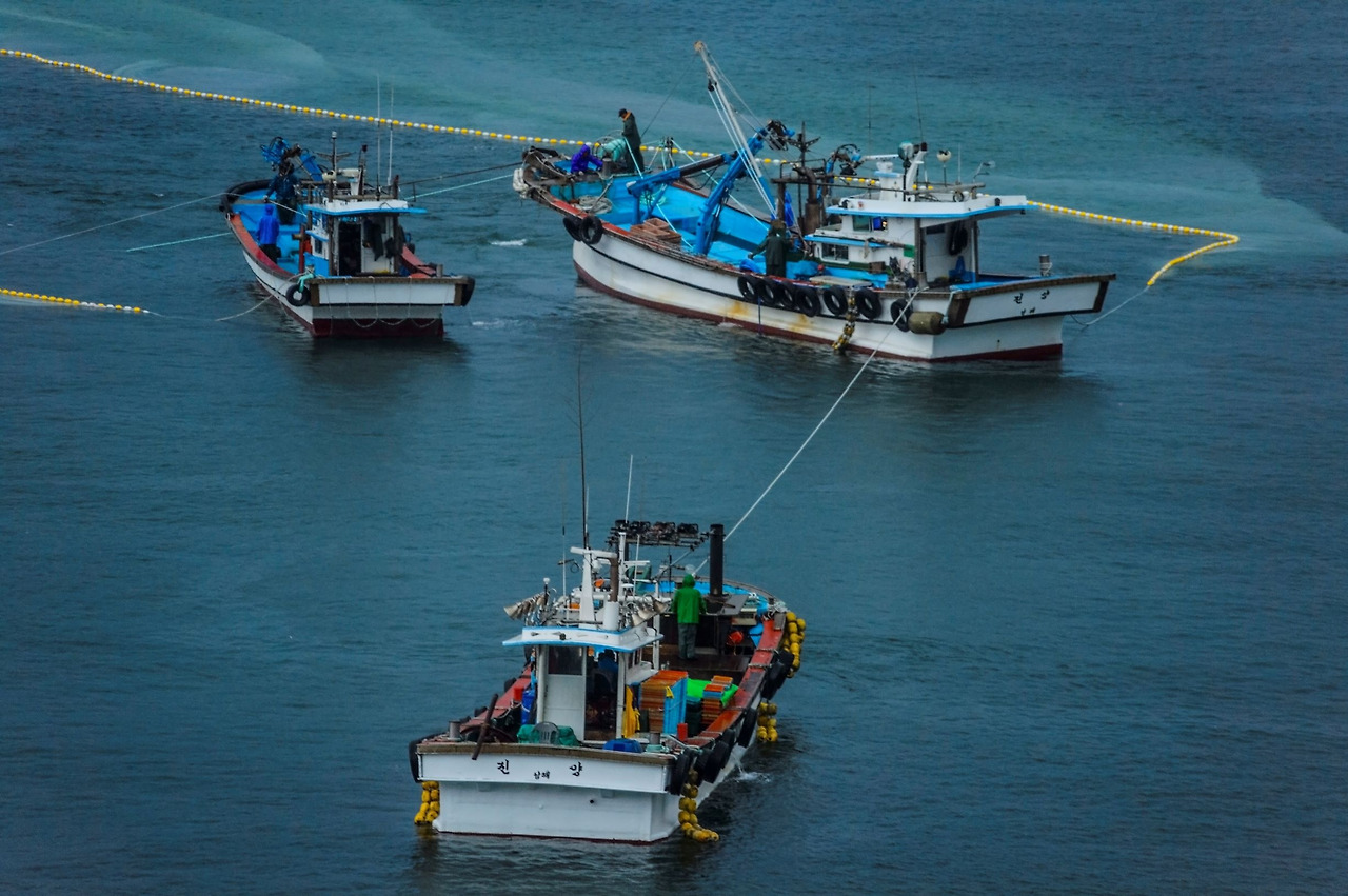 남해설리멸치잡이.jpg