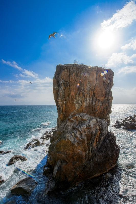 묵호항 까막바위_SD49935.jpg