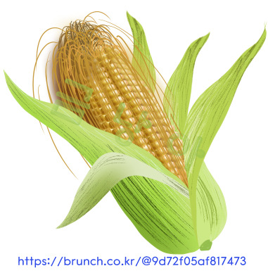 옥수수2.jpg