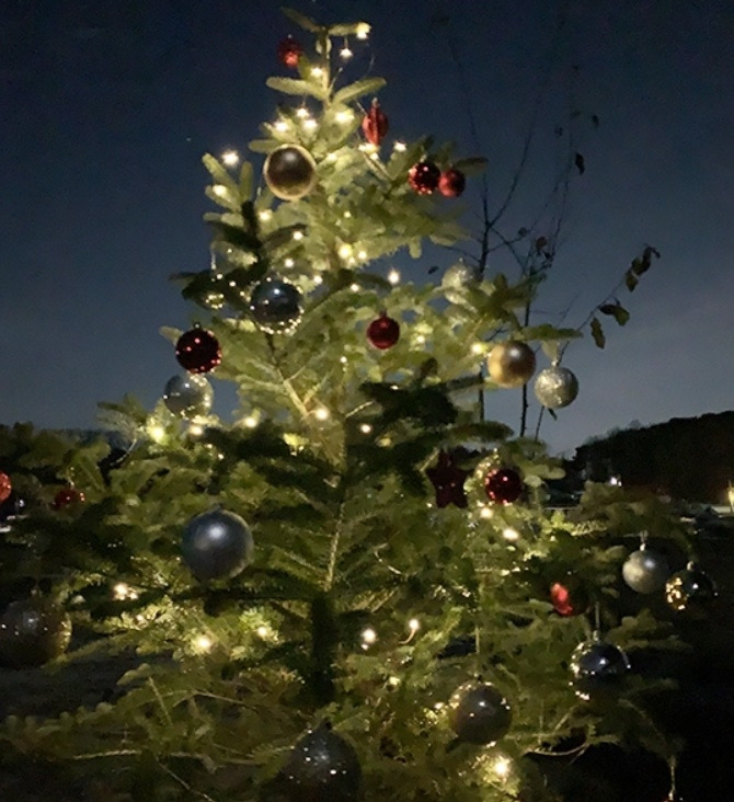 구상나무 트리.jpg