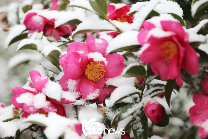 ttc 뉴스 신안.jpg