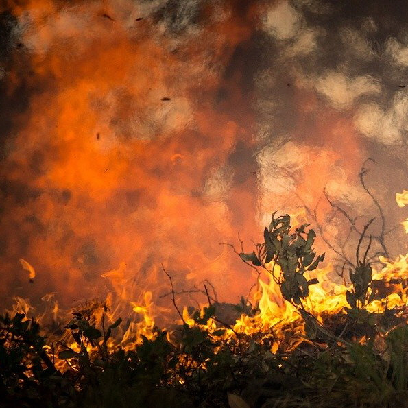 12.6_forest-fire-2268729_1280.jpg